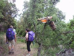 2009-05Corse (31)